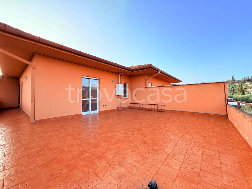 immagine annuncio 12 di 14