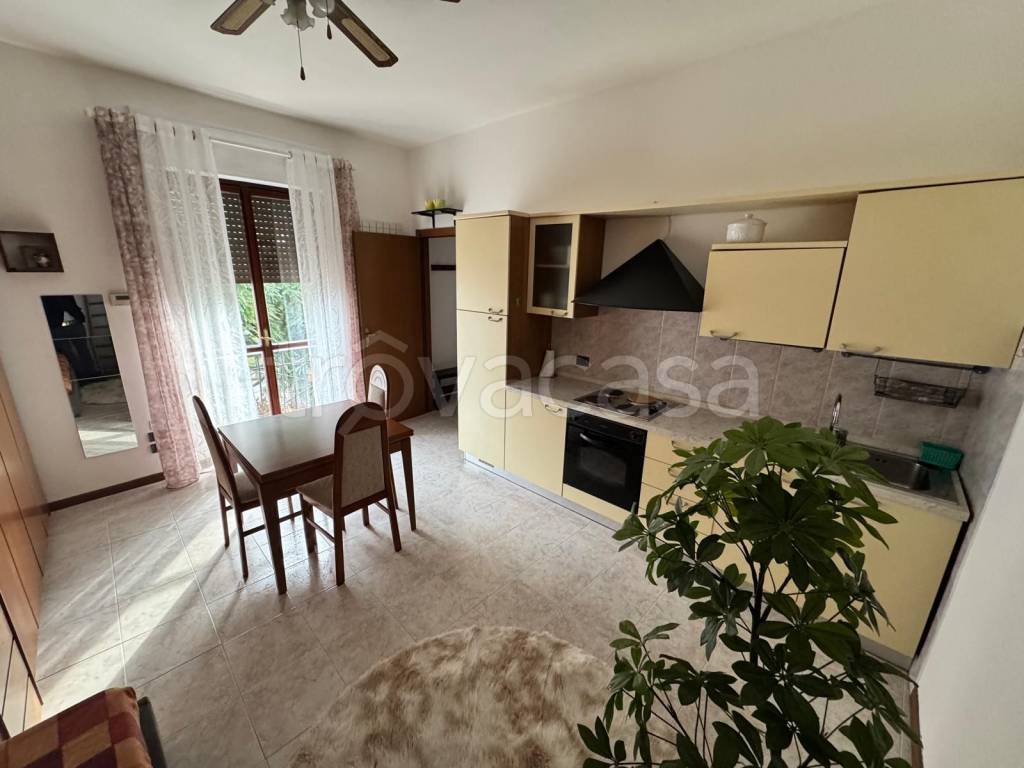 immagine annuncio 3 di 14