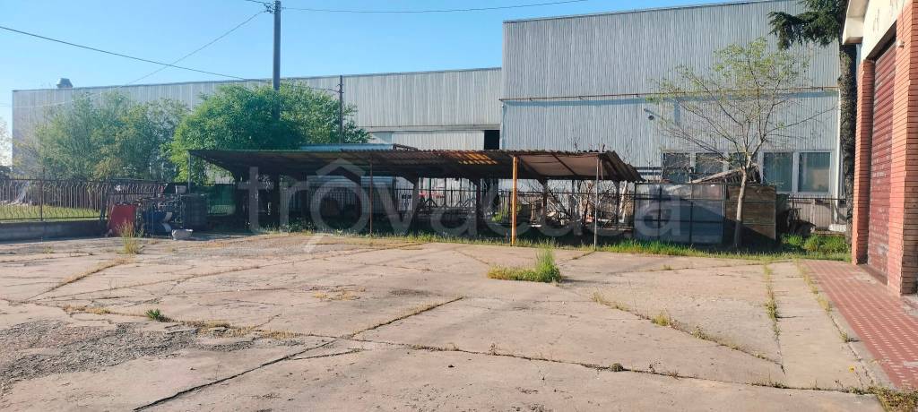 immagine annuncio 10 di 13