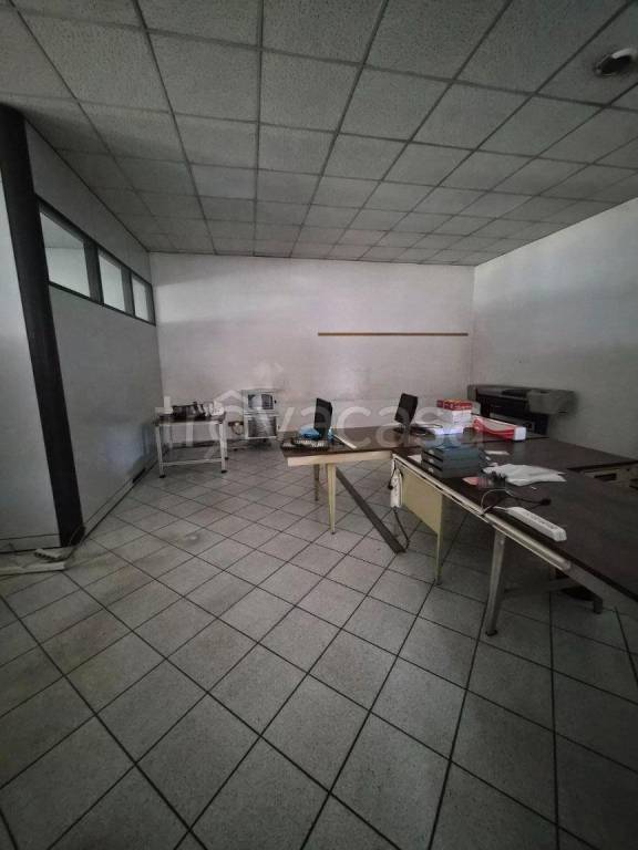 immagine annuncio 6 di 8