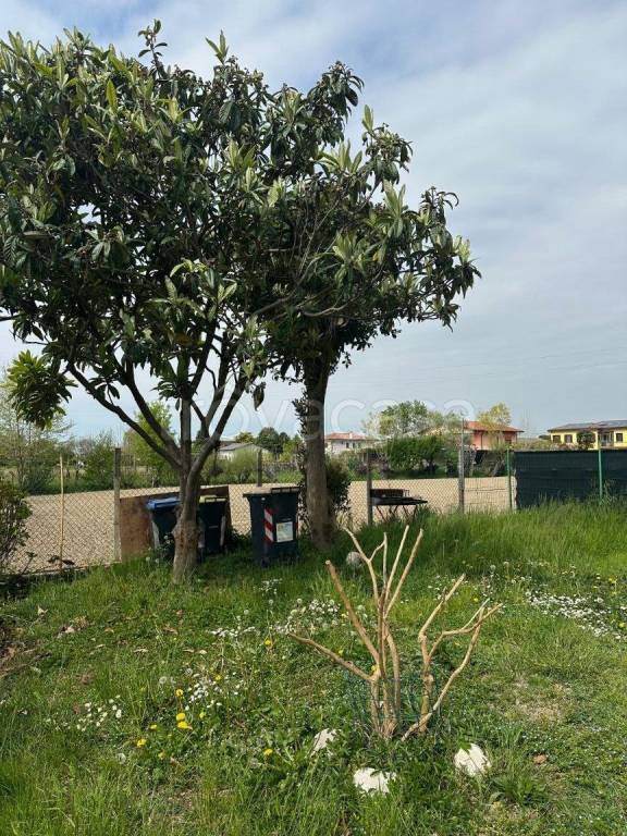 immagine annuncio 5 di 13