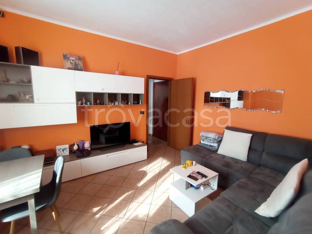 immagine annuncio 1 di 11