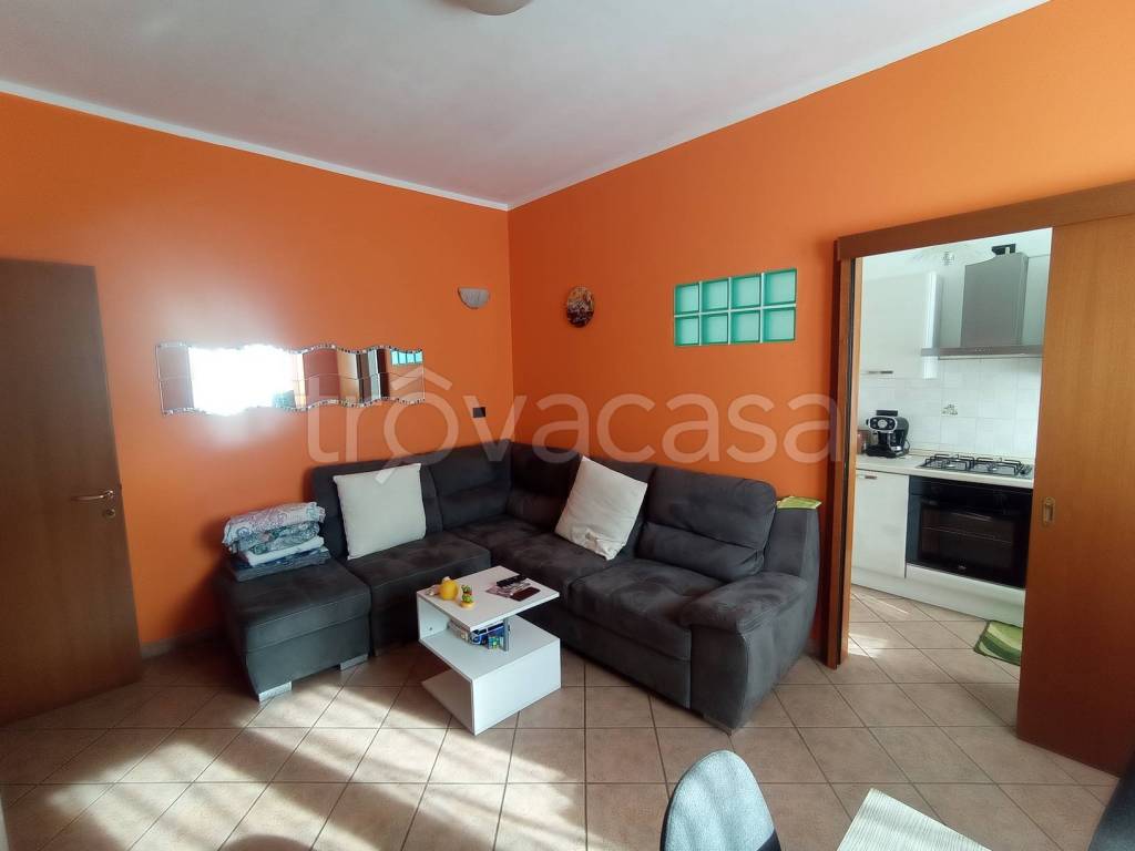 immagine annuncio 3 di 11