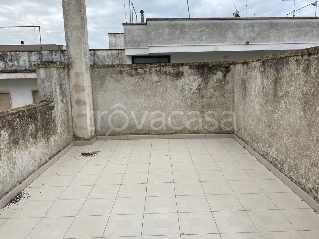 immagine annuncio 3 di 14