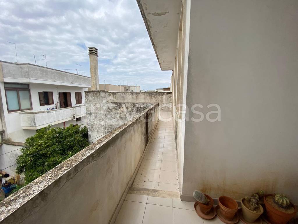 immagine annuncio 10 di 14