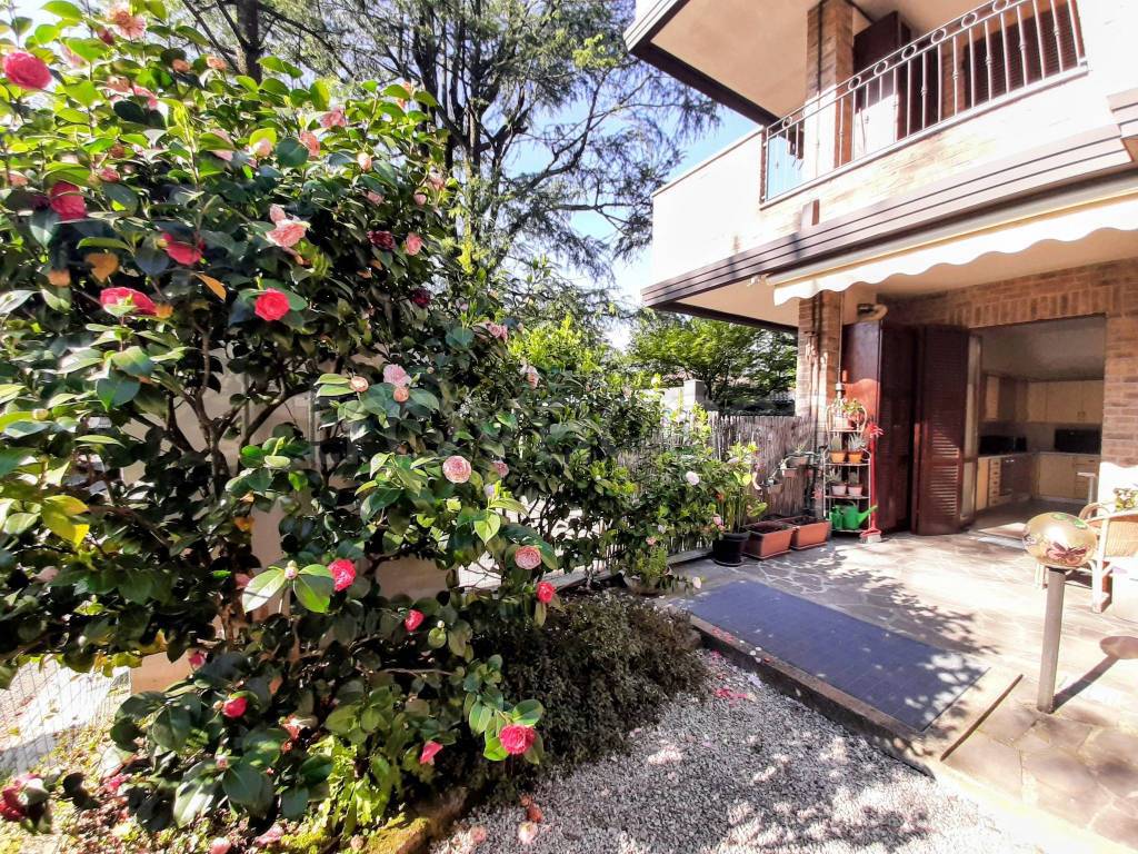 immagine annuncio 7 di 15