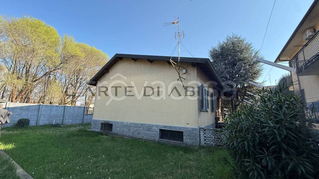 immagine annuncio 5 di 15