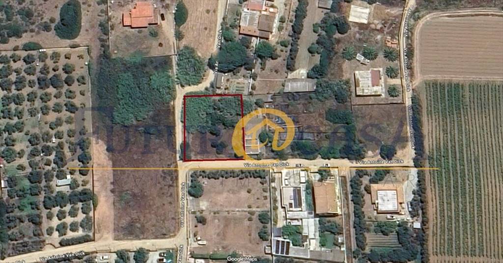 immagine annuncio 2 di 8