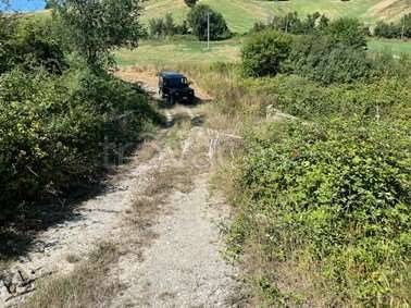 immagine annuncio 3 di 7