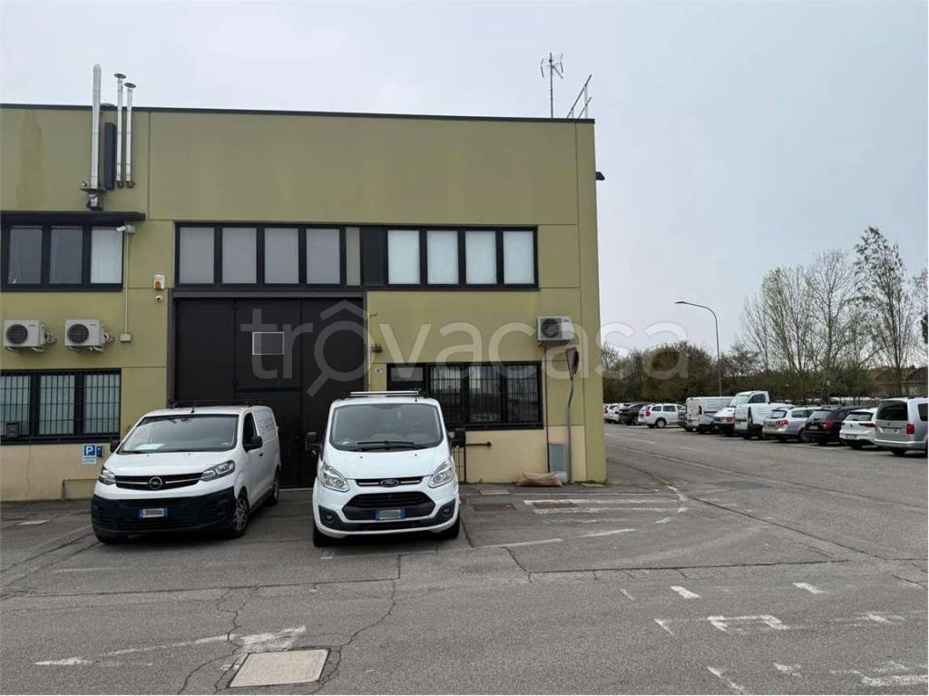 immagine annuncio 13 di 14