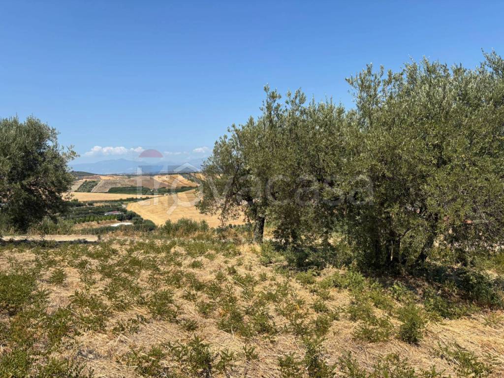 immagine annuncio 2 di 8