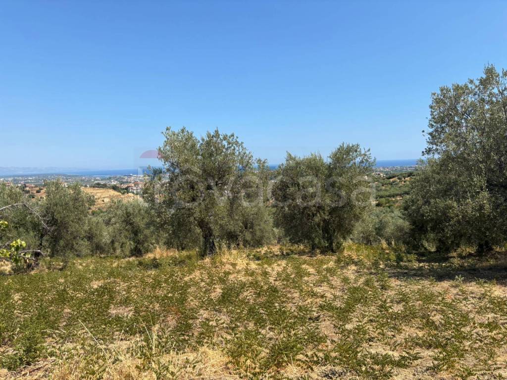 immagine annuncio 3 di 8