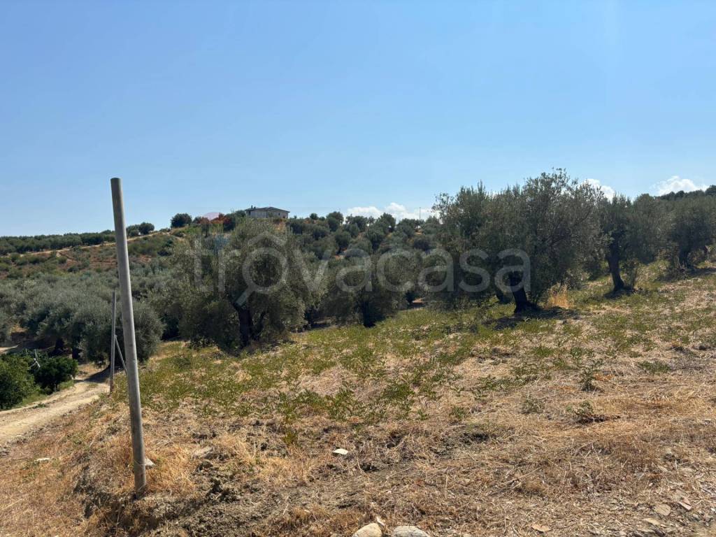 immagine annuncio 4 di 8