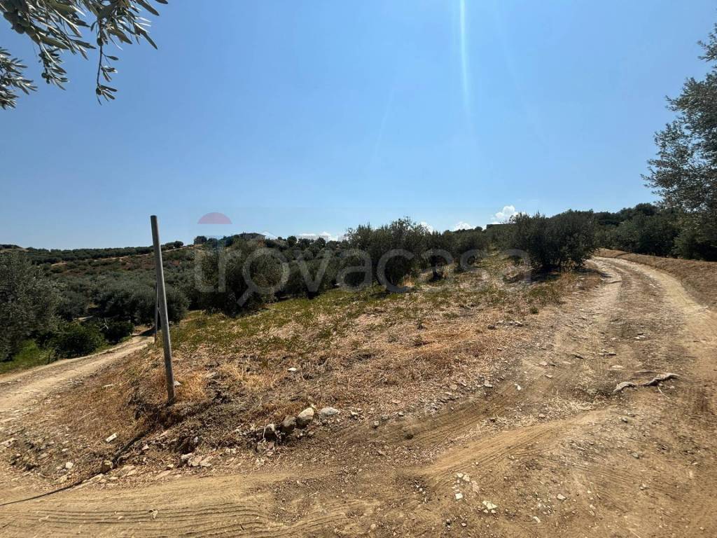 immagine annuncio 5 di 8