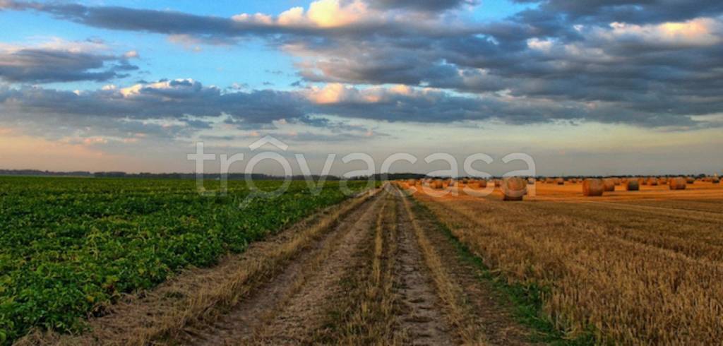 immagine annuncio 2 di 6