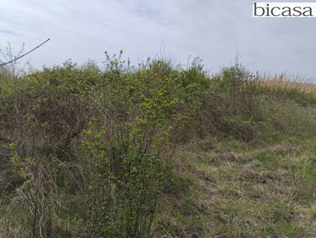 immagine annuncio 1 di 6