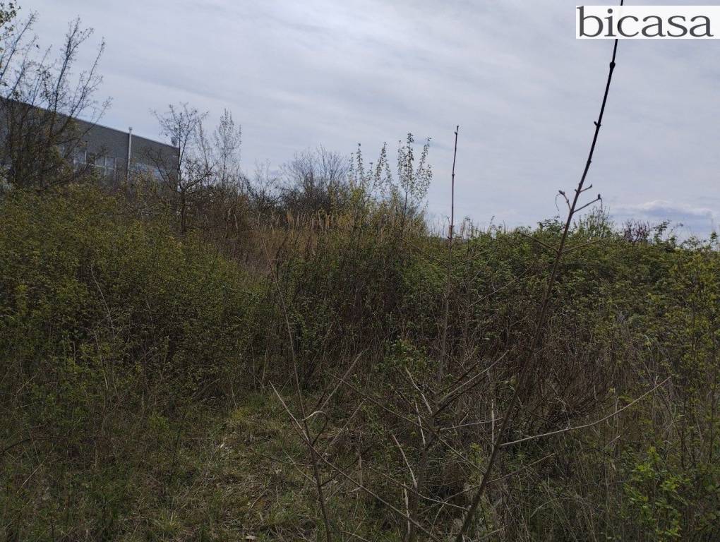 immagine annuncio 2 di 6