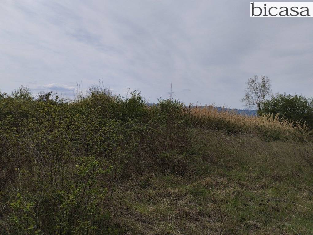 immagine annuncio 3 di 6