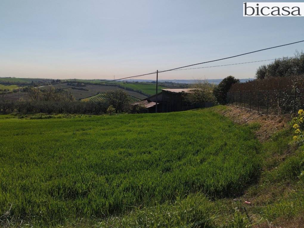 immagine annuncio 1 di 14