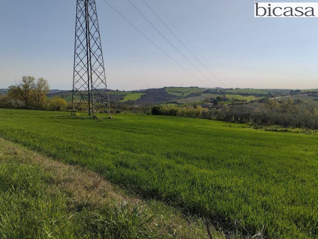 immagine annuncio 2 di 14