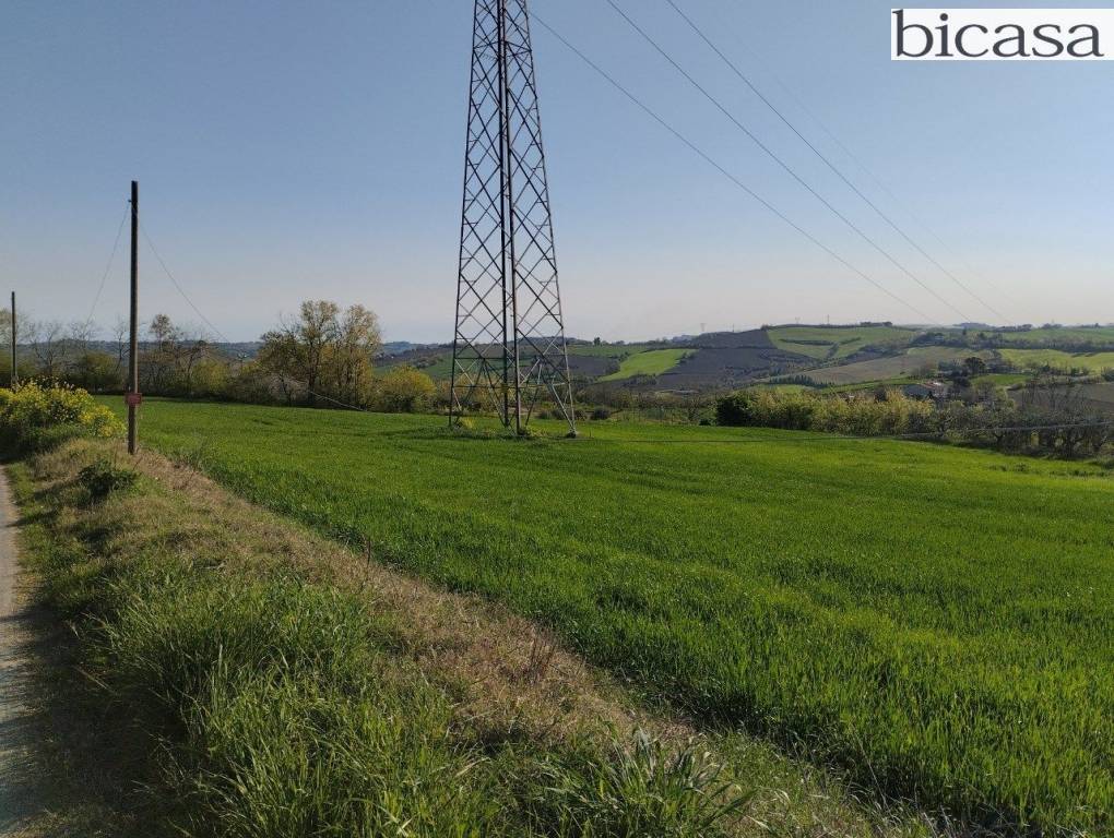 immagine annuncio 3 di 14