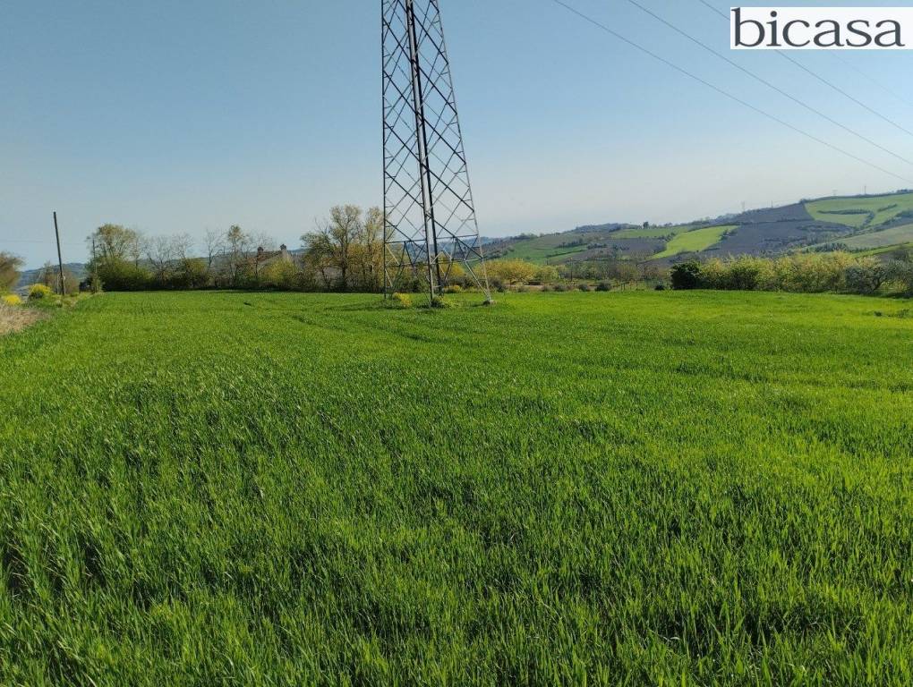 immagine annuncio 4 di 14