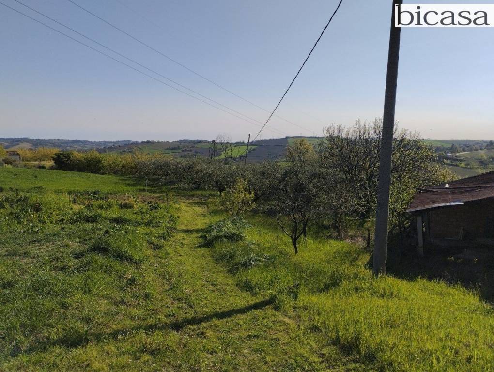 immagine annuncio 5 di 14