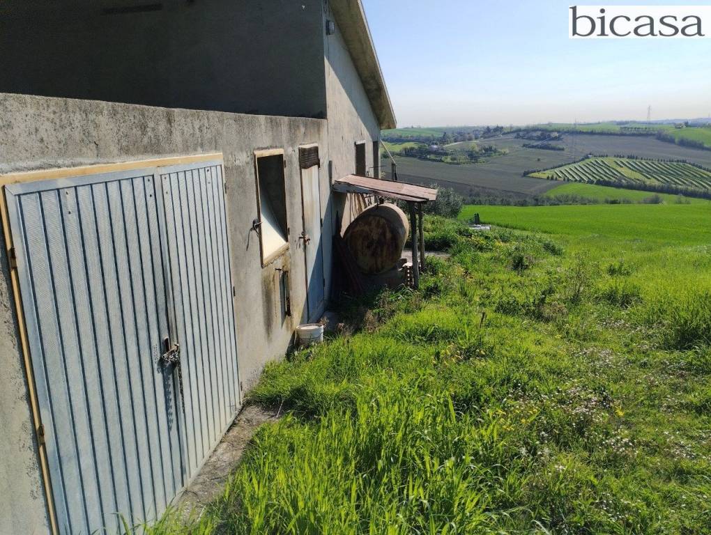 immagine annuncio 7 di 14