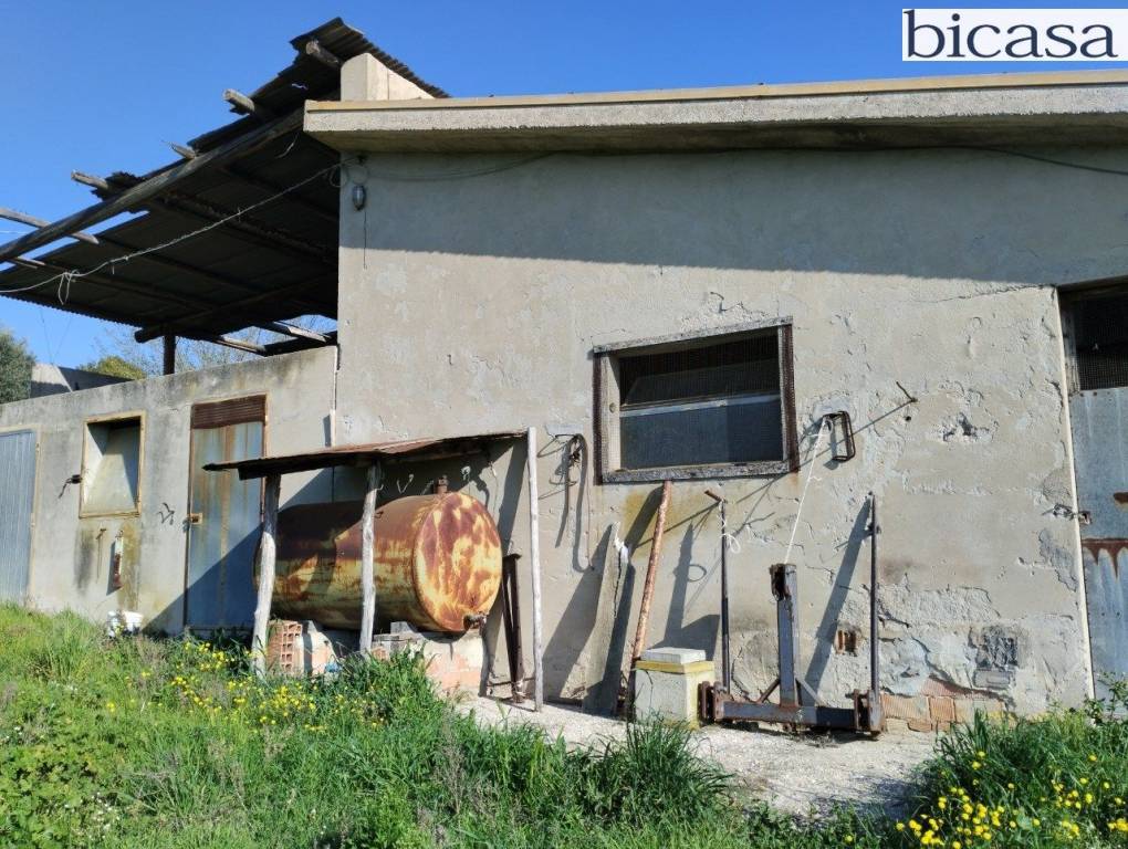 immagine annuncio 8 di 14