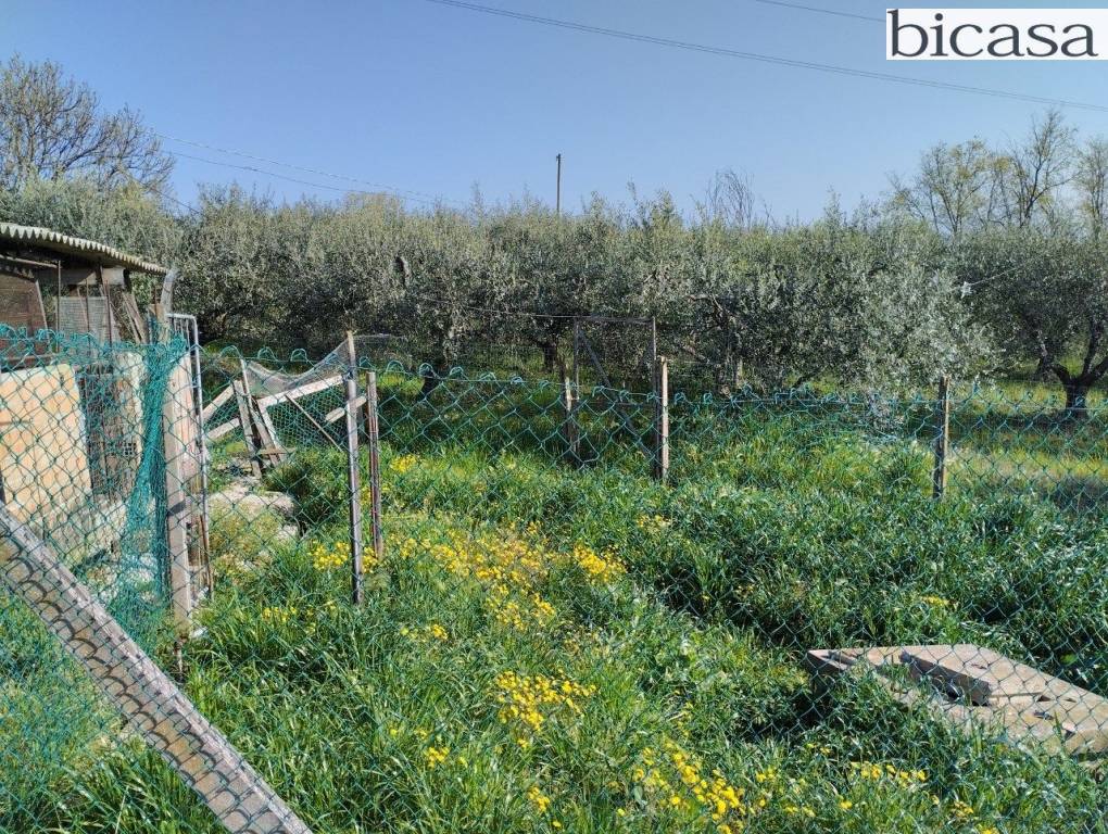 immagine annuncio 9 di 14