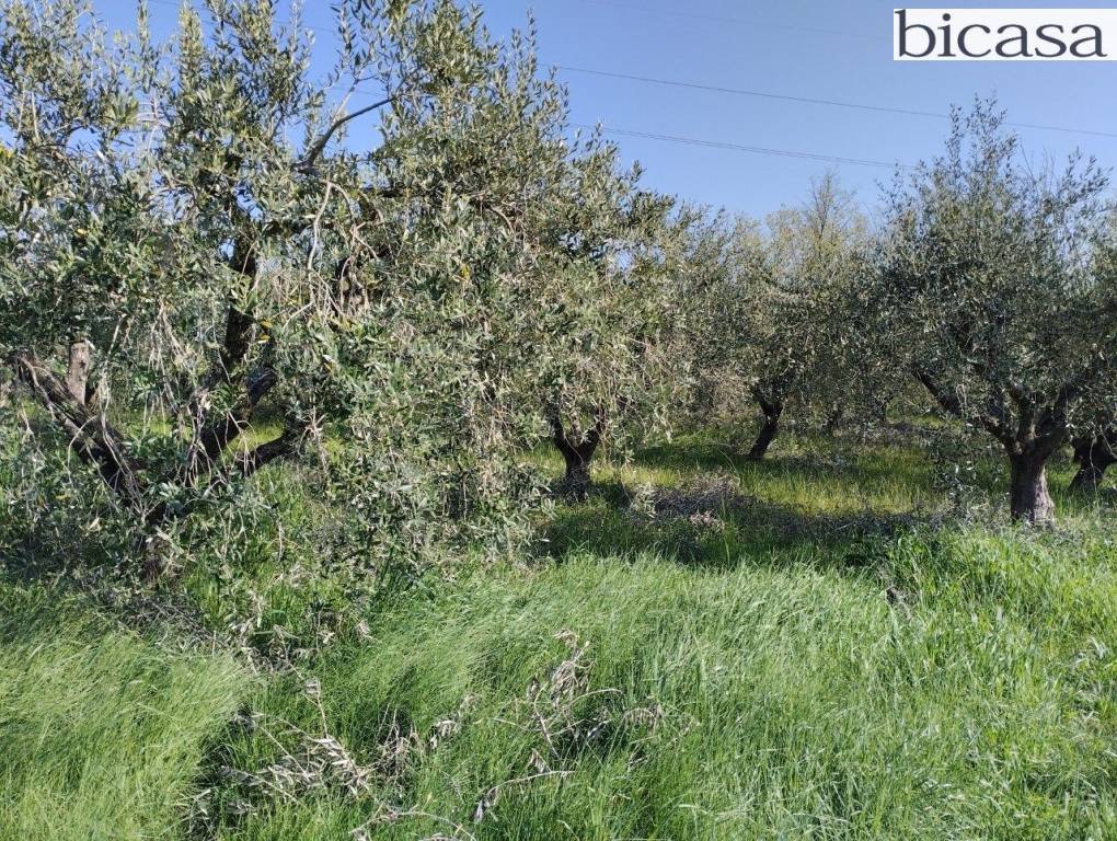 immagine annuncio 10 di 14