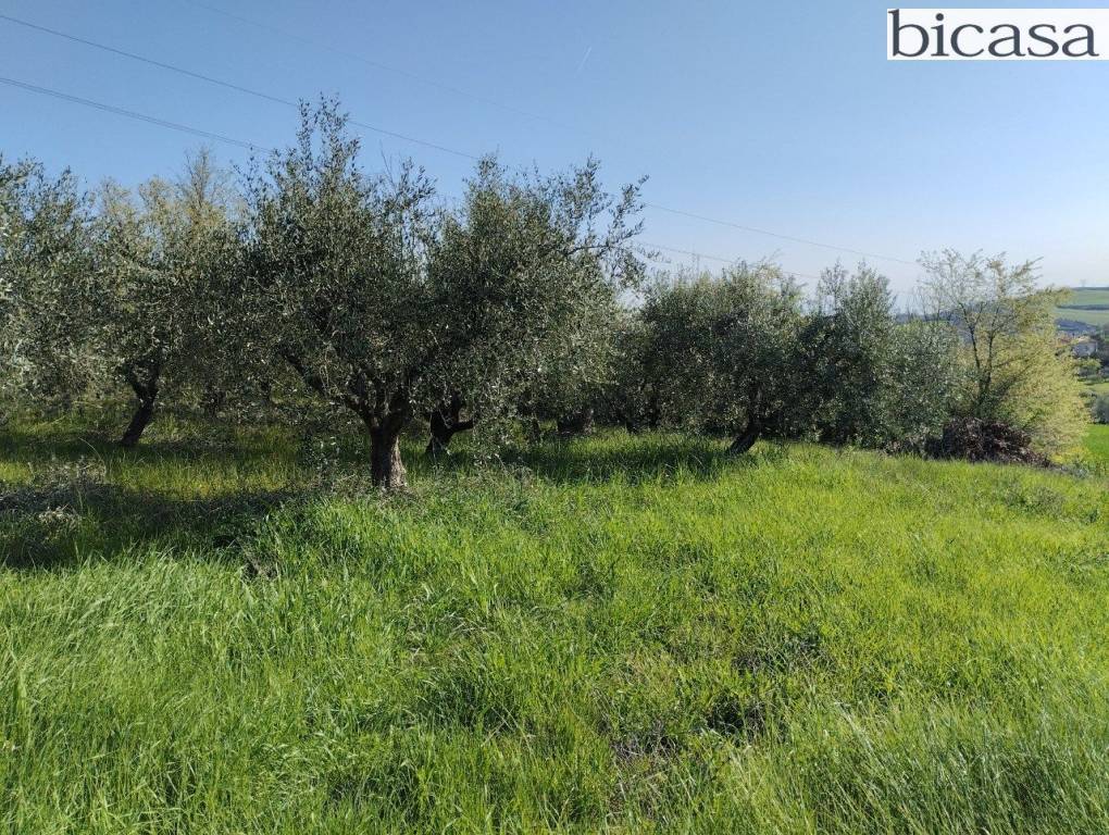 immagine annuncio 11 di 14