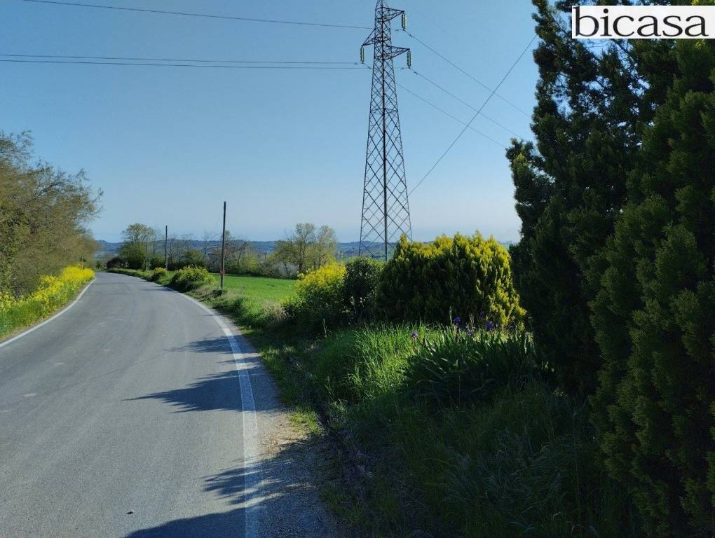 immagine annuncio 12 di 14