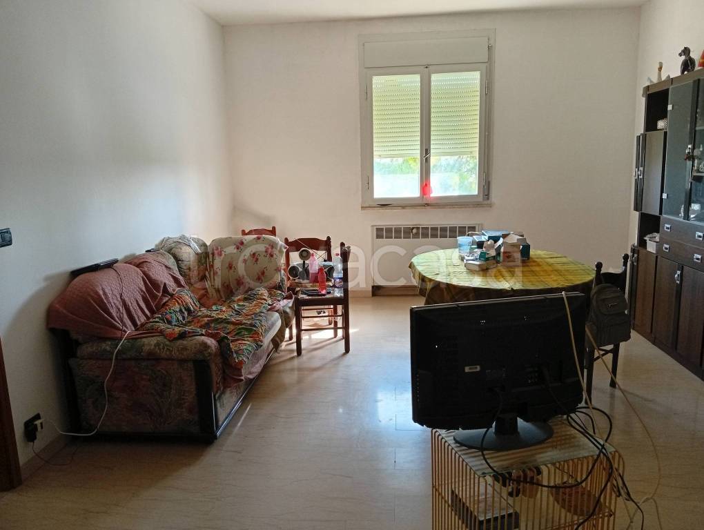 immagine annuncio 6 di 9