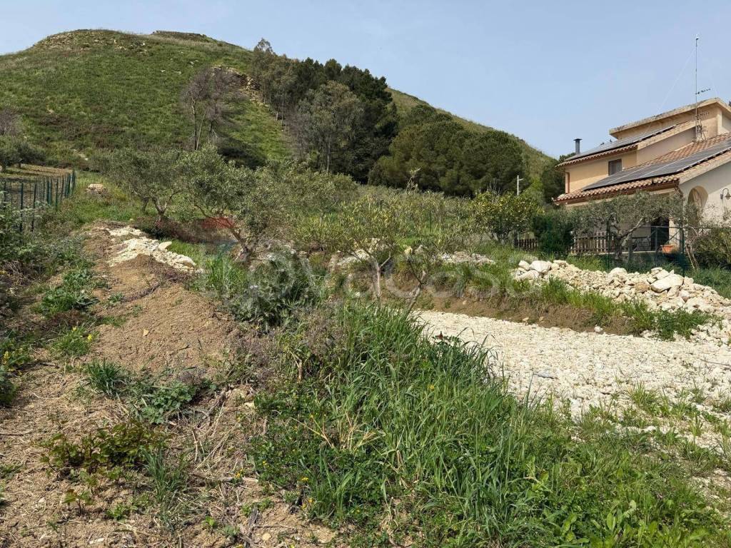 immagine annuncio 3 di 8