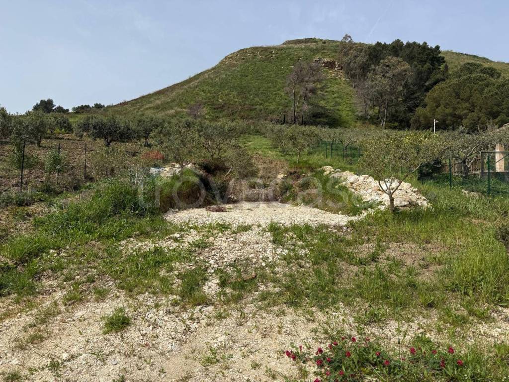 immagine annuncio 4 di 8