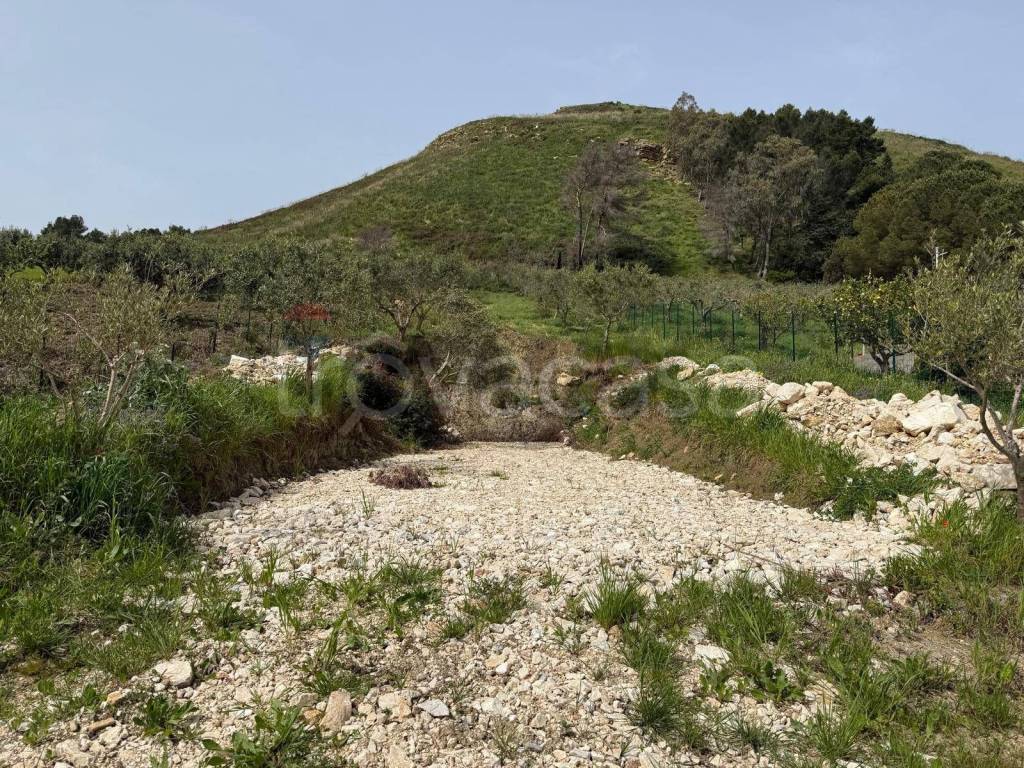 immagine annuncio 5 di 8