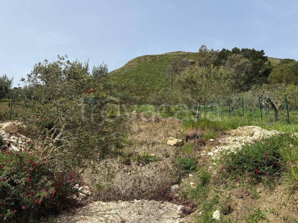 immagine annuncio 6 di 8