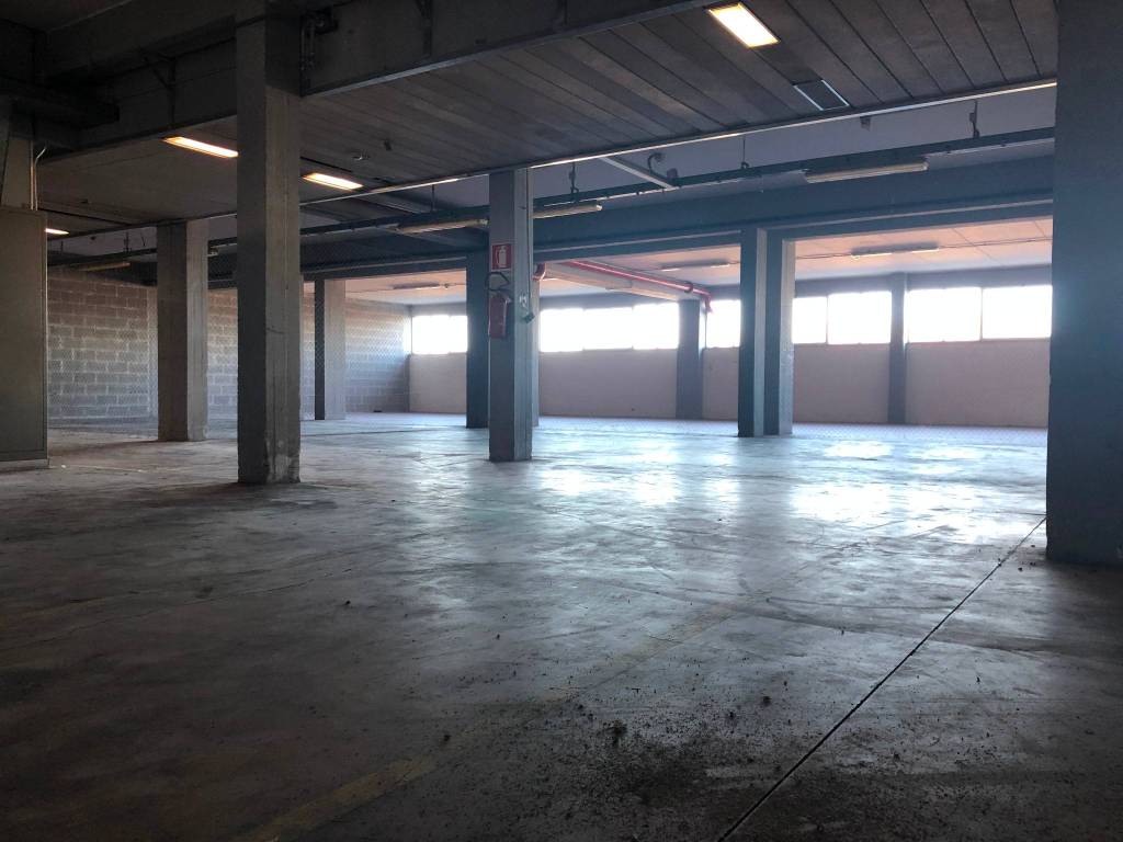 immagine annuncio 5 di 15