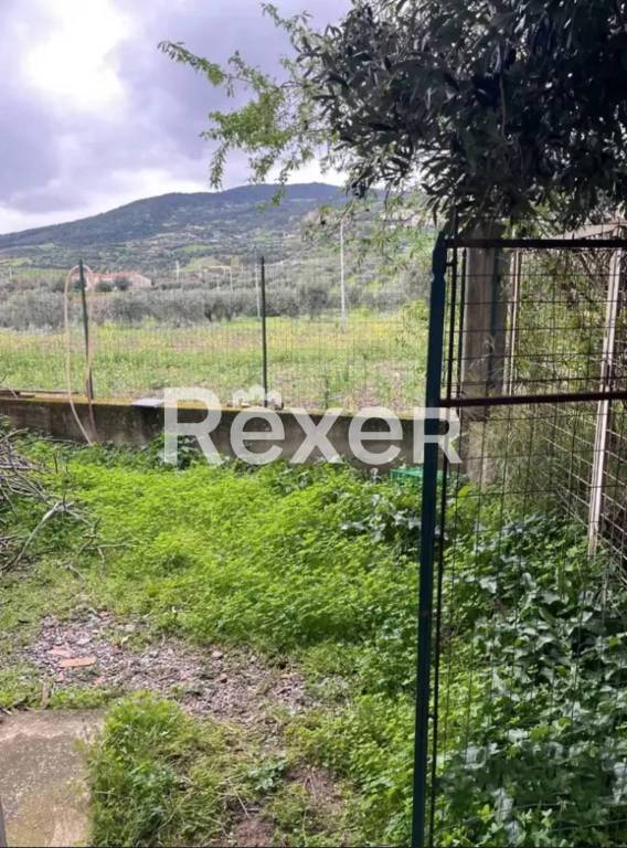 immagine annuncio 5 di 6