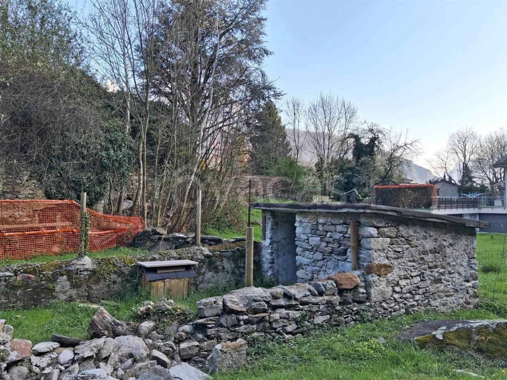 immagine annuncio 7 di 14