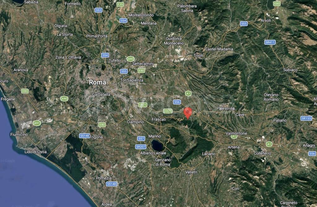 immagine annuncio 1 di 14