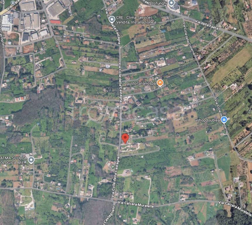 immagine annuncio 5 di 14