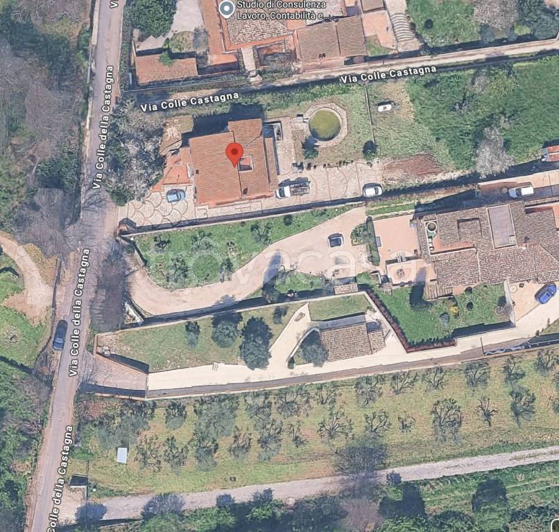 immagine annuncio 9 di 14