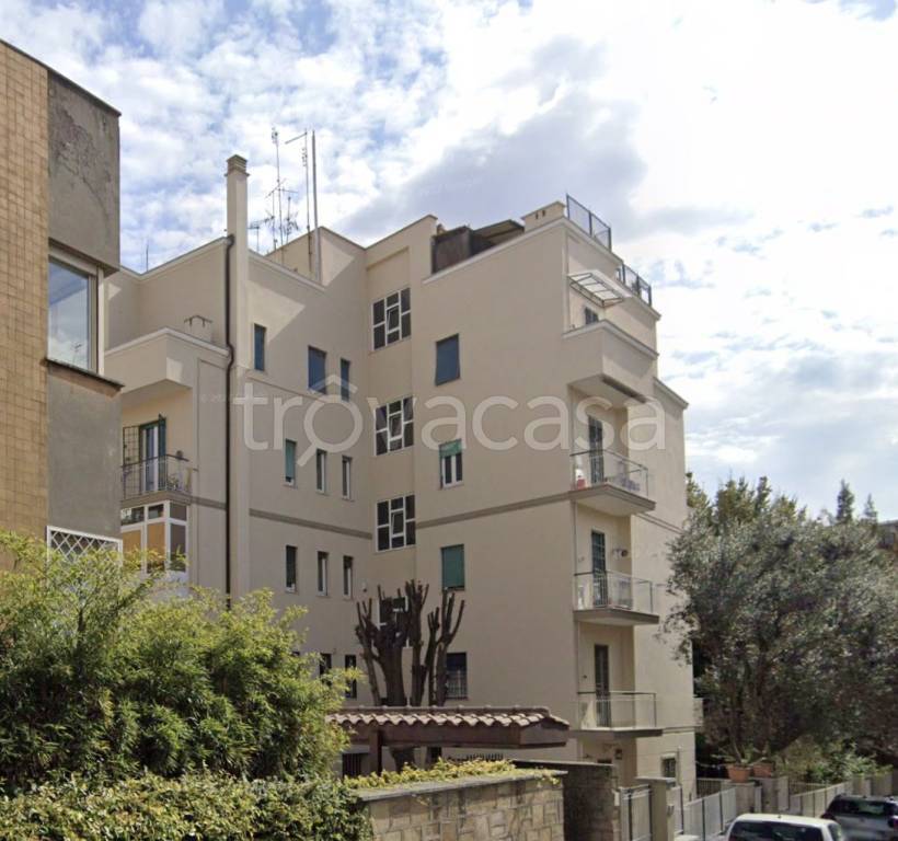 immagine annuncio 8 di 14