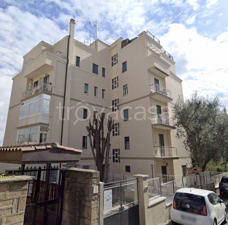 immagine annuncio 11 di 14