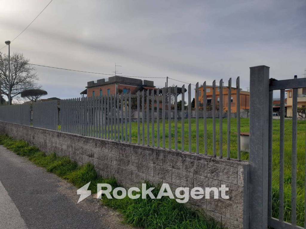 immagine annuncio 4 di 12