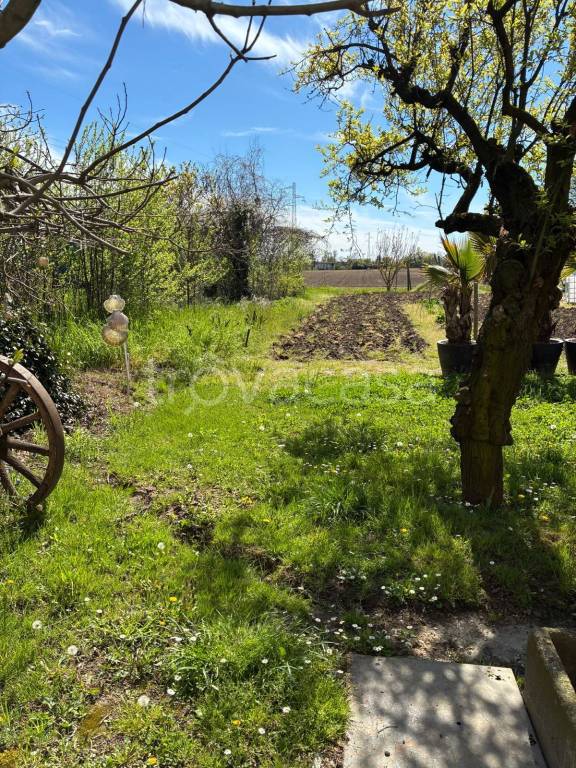 immagine annuncio 4 di 8