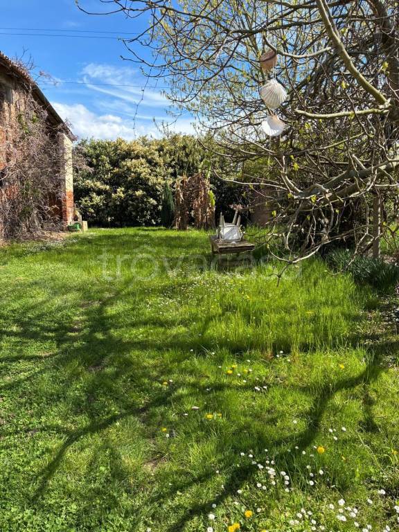 immagine annuncio 5 di 8