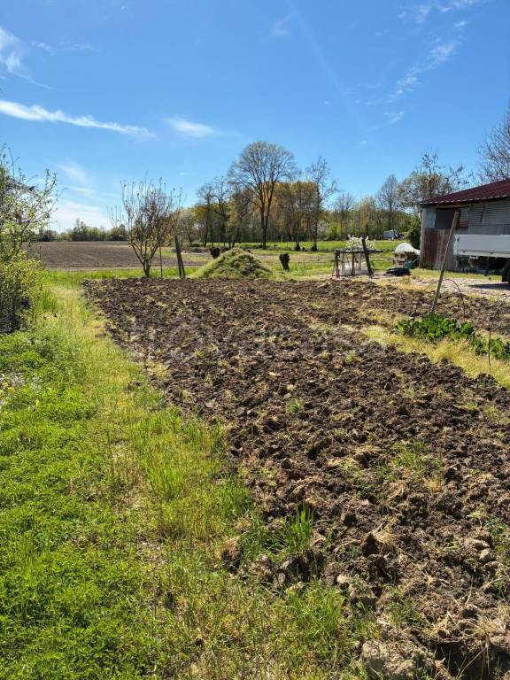 immagine annuncio 7 di 8